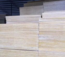湖北建築91视频免费APP